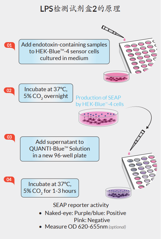 内毒素污染及检测方法（试剂）